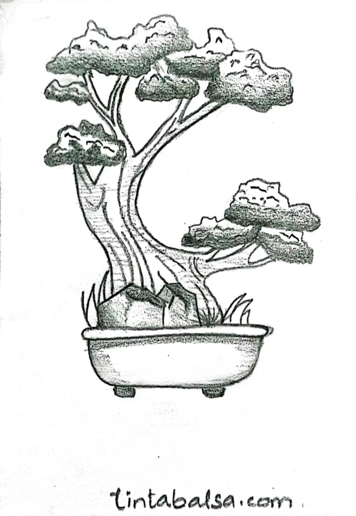 Dibujo de un bonsai con hojas verdes en una maceta decorativa
Ilustración de bonsai en una taza de cerámica con diseño natural
Bonsai en un patrón de hojas en una libreta de notas
Dibujo de un bonsai en un paisaje zen en una funda de celular
Lámina decorativa de un bonsai con flores en un fondo claro
Dibujo de bonsai en una camiseta con motivos de naturaleza
Ilustración de un bonsai en una botella reutilizable con diseño elegante
Patrón de bonsais y piedras en una bolsa ecológica para el día a día
Lámina decorativa de un bonsai sobre una mesa minimalista
Ilustración en acuarela de un bonsai con un cielo azul de fondo