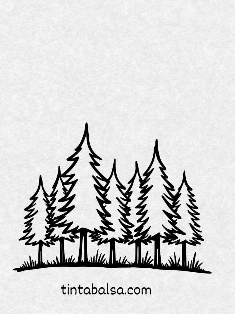 Ilustración de un bosque con árboles altos y senderos misteriosos