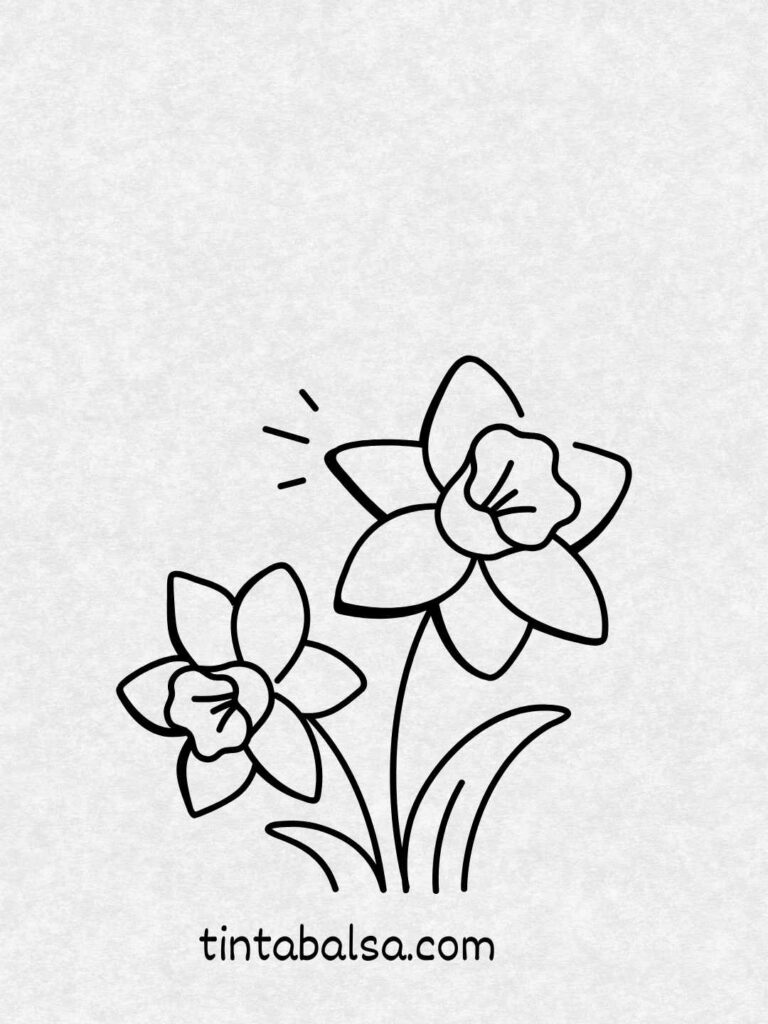 Dibujo delicado de una flor de narciso con pétalos blancos y centro amarillo.
