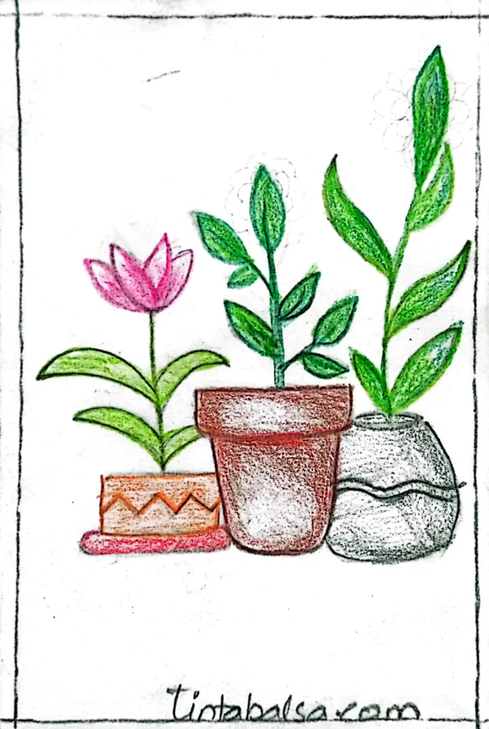 Dibujo de una planta en maceta con hojas grandes y detalladas, destacando su textura."
"Sketch de varias plantas tropicales, con líneas suaves y sombreado artístico."
"Ilustración de una planta colgante en tonos verdes vibrantes, ideal para decoración interior."
"Boceto de una planta suculenta, mostrando sus hojas geométricas y simétricas."
"Dibujo minimalista de una planta de interior en una maceta sencilla con un fondo claro."
