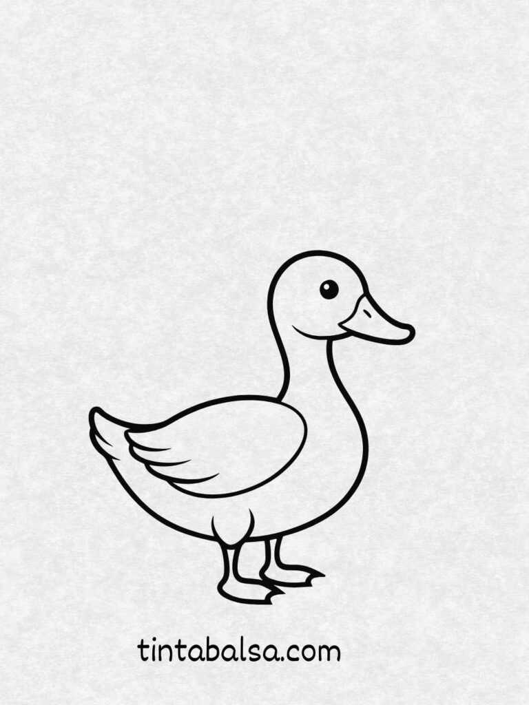 Ilustración de un pato con cuerpo redondeado y expresión alegre