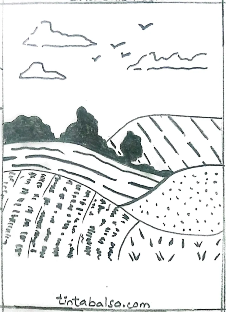 Drawing of rolling hills with different textures, including grass, flowers, and cultivated fields