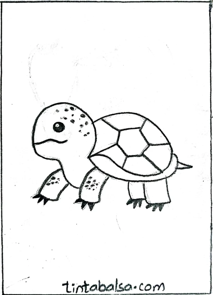 Drawing of a turtle/tortoise with a patterned shell and short legs, crawling on land