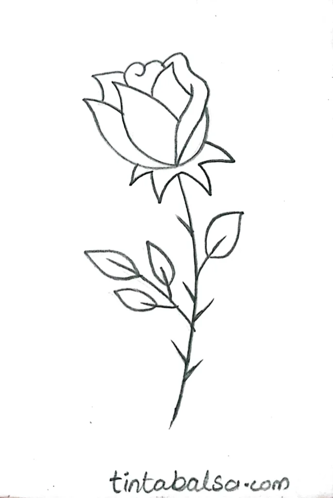 A delicate sketch of a blooming rose, showcasing intricate petal details and gentle shading to highlight its natural beauty and elegance.