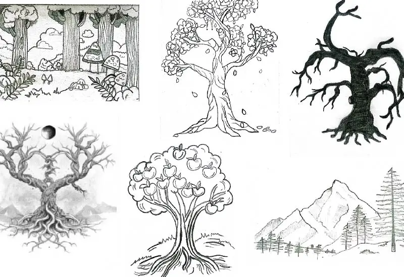 Explore these stunning tree drawings, each with its unique style and character. From intricate details to simple designs, these illustrations celebrate the beauty of nature.