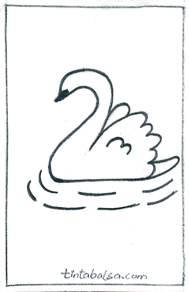 The final swan drawing!: Admire the final result of your drawing. With all the details added, your swan reflects grace and elegance, showing the effort and creativity in every stroke.