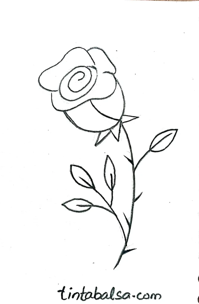 Sketch of a detailed rose, symbolizing love and classic romance."