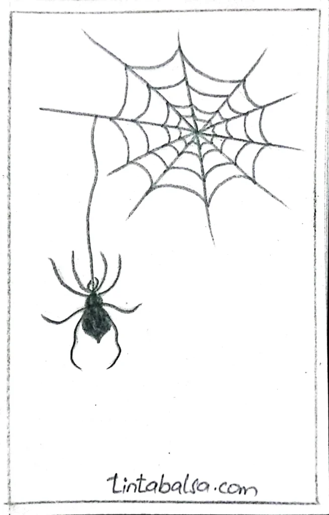 "Drawing of a spider resting on a detailed web with geometric patterns."