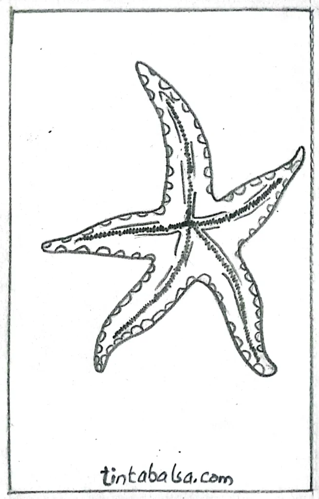 "Artistic sketch of a starfish on a sandy beach with seashells around it."