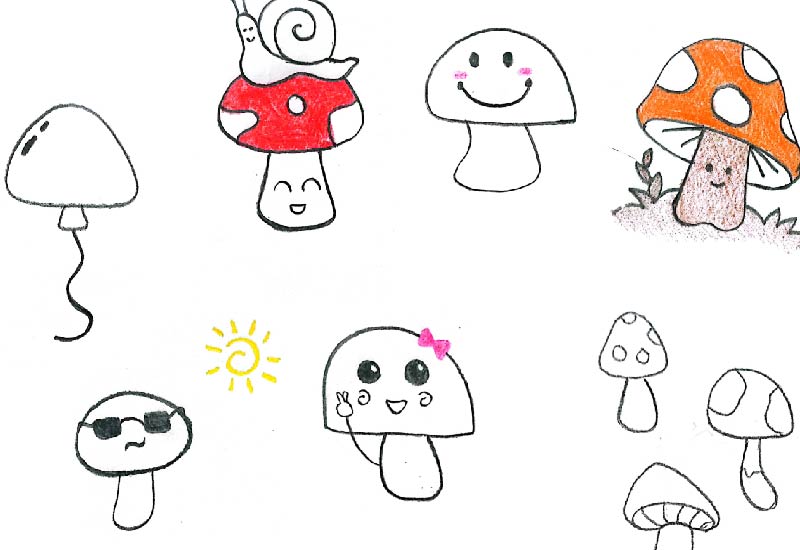 "Ilustración detallada de diferentes tipos de setas en un estilo artístico.