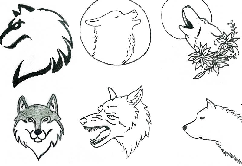 A detailed black-and-white wolf drawing showcasing the wolf's piercing eyes and intricate fur texture, capturing its majestic and wild essence.