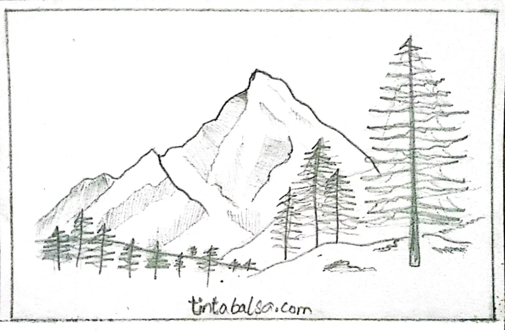 A drawing of a sturdy pine tree standing tall in a snow-covered mountainous landscape, surrounded by a cold and serene atmosphere.